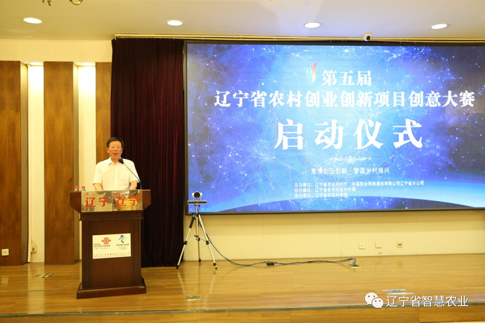成人网站