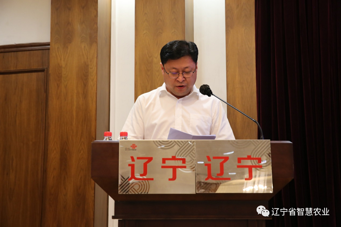 成人网站