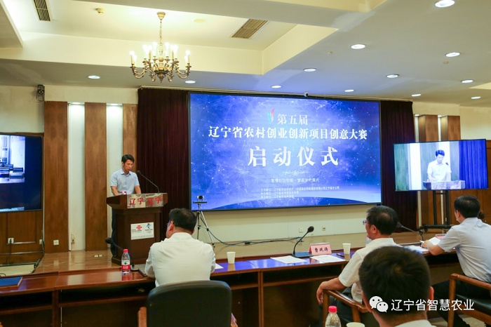 成人网站