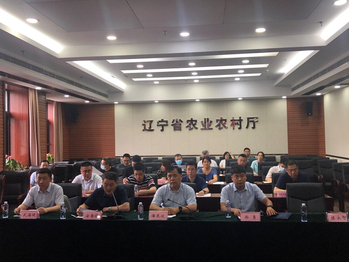 成人网站