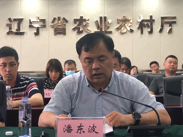 成人网站