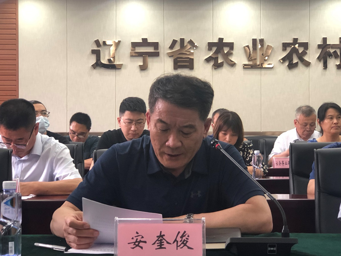 成人网站