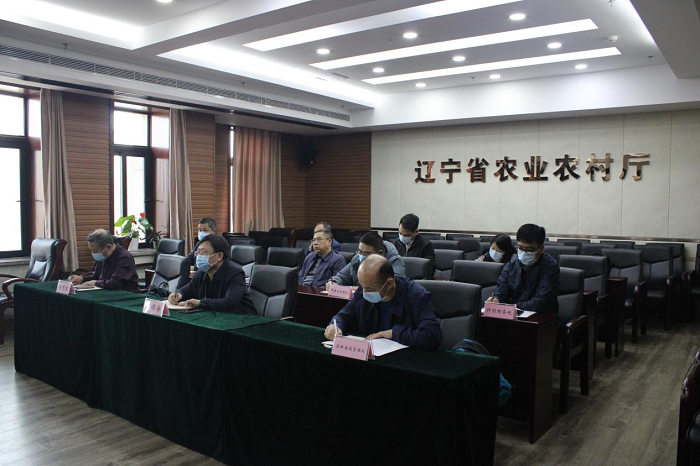 成人网站
