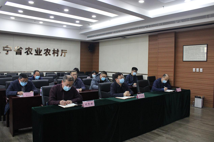 成人网站