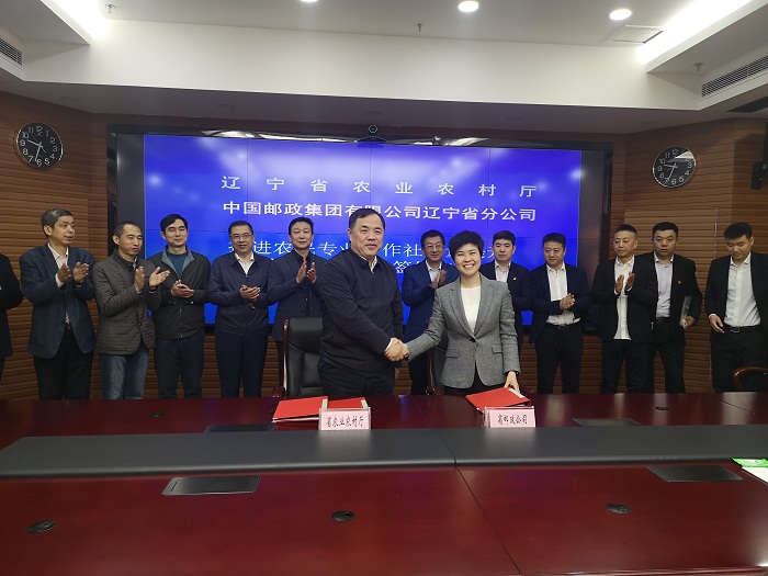成人网站
