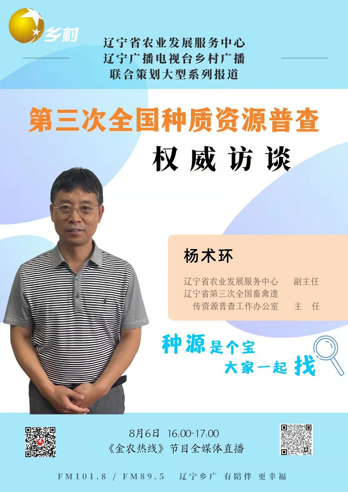 成人网站