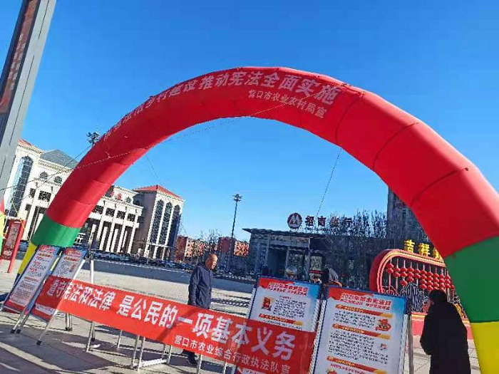 成人网站
