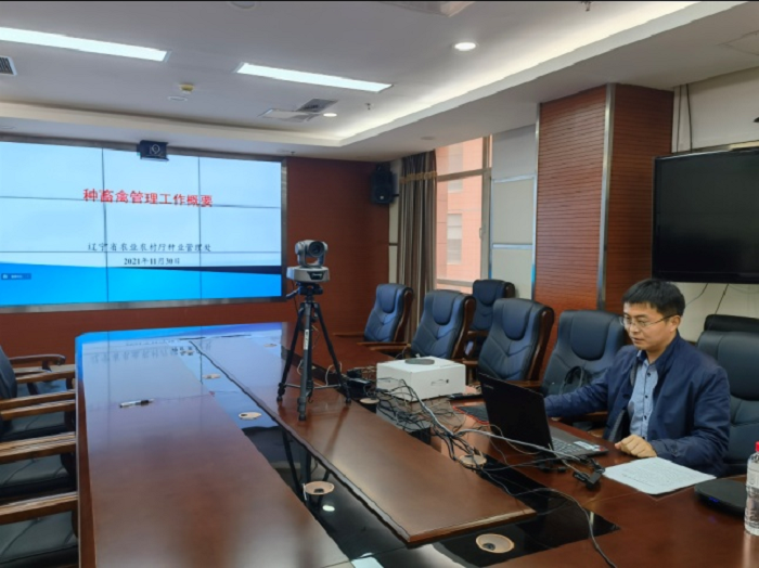 成人网站