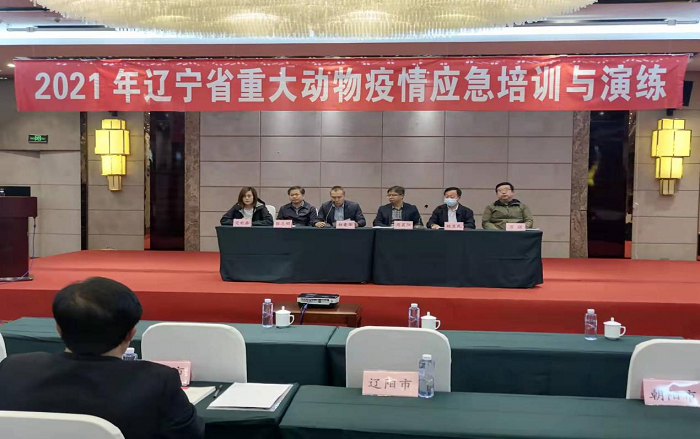 成人网站