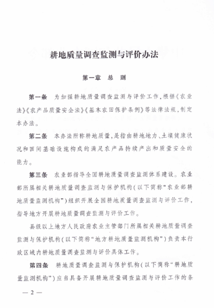 成人网站