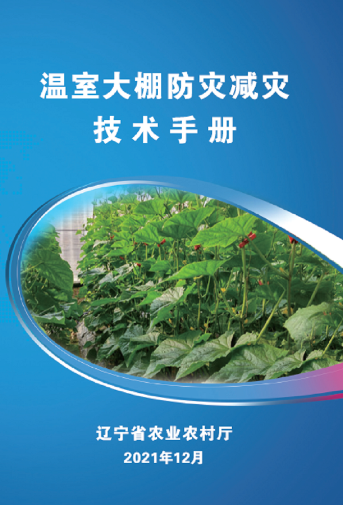成人网站