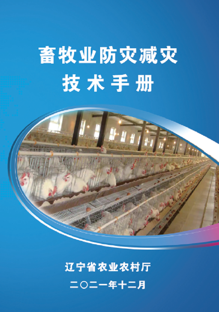 成人网站