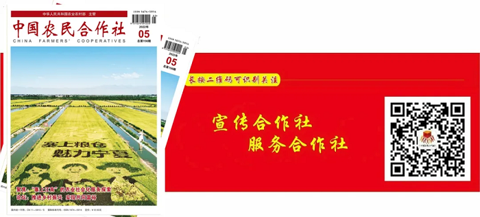 成人网站