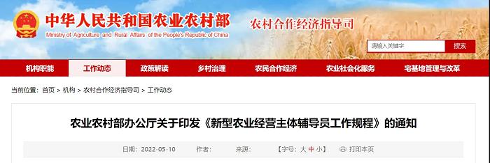 成人网站