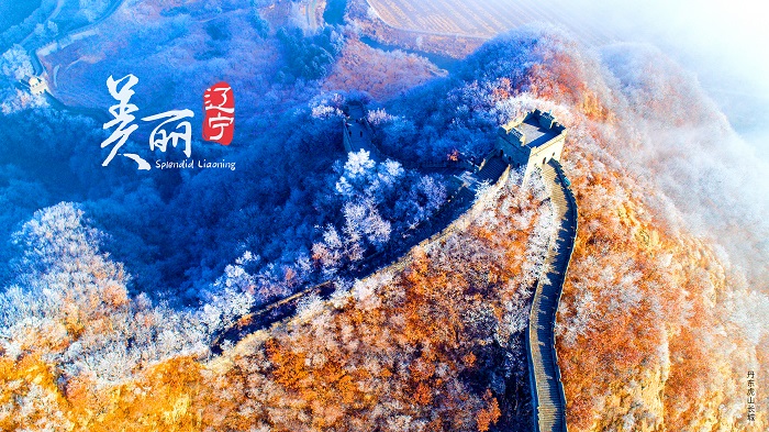 成人网站