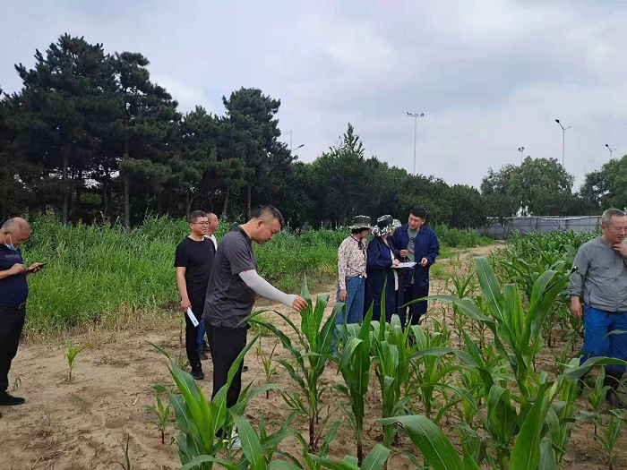 成人网站