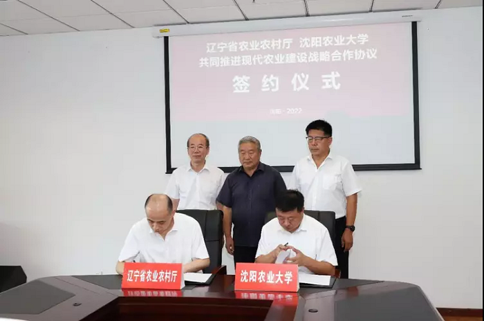 成人网站