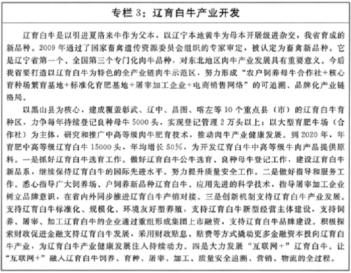 成人网站