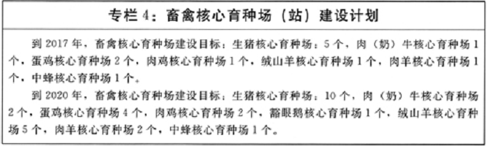 成人网站
