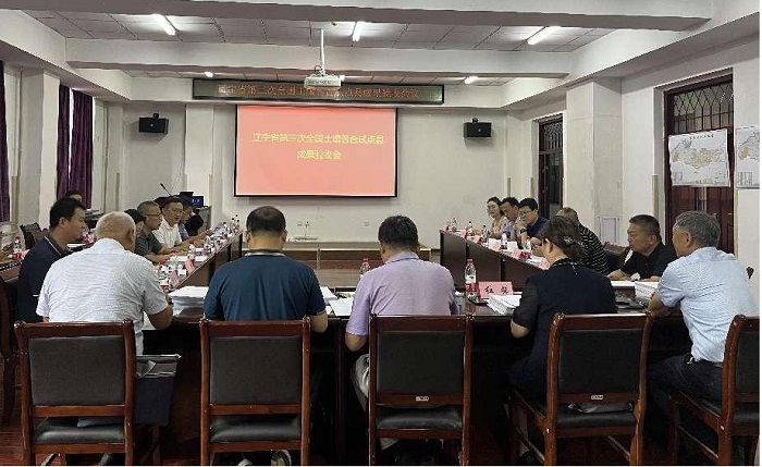 成人网站