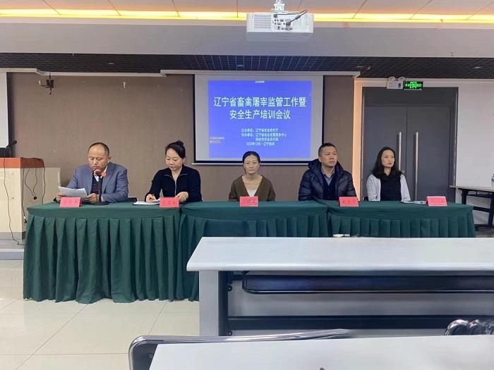 成人网站