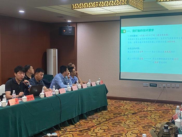 成人网站