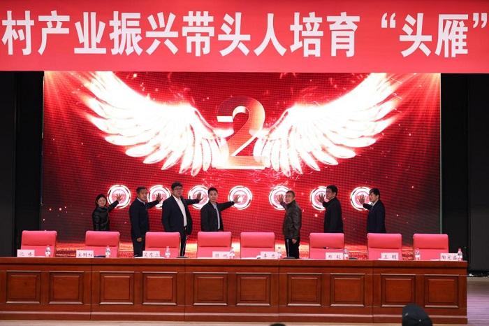 成人网站