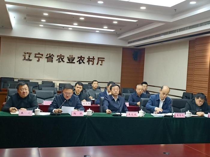 成人网站