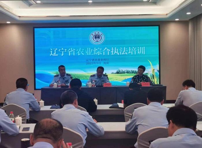成人网站
