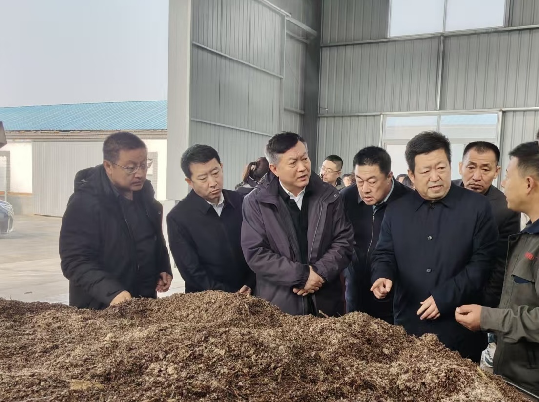 成人网站