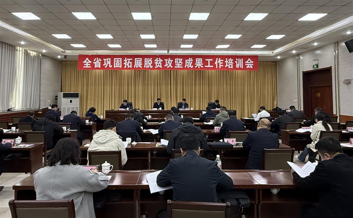 成人网站