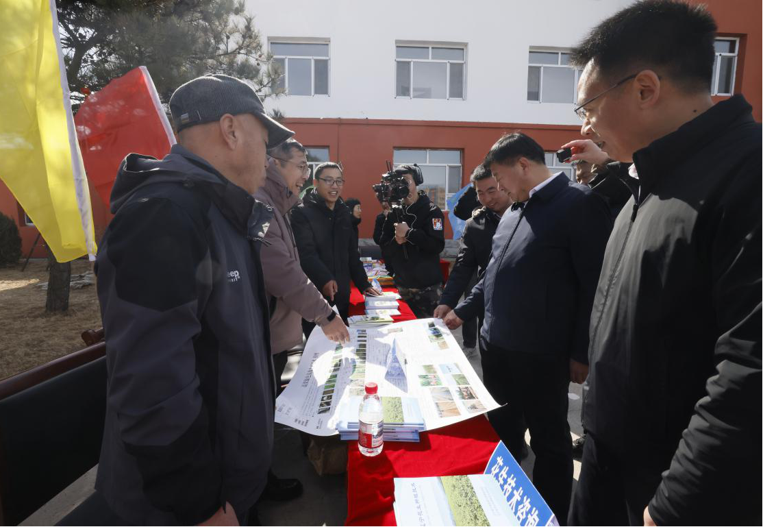 成人网站