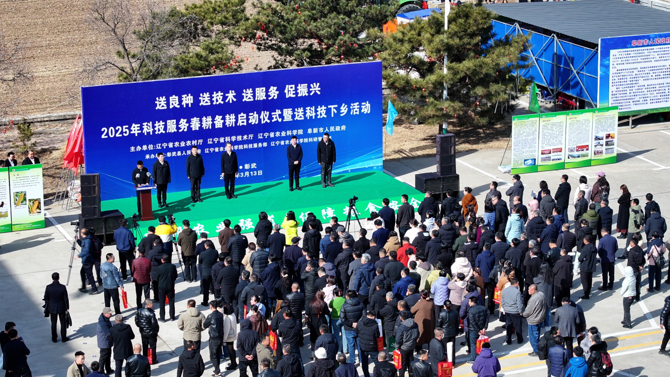 成人网站
