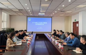 成人网站
