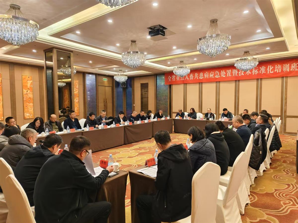 成人网站
