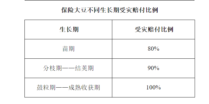 成人网站