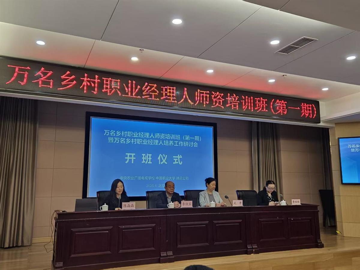 成人网站