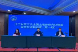 成人网站