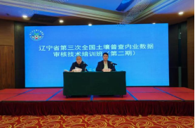 成人网站