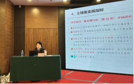成人网站