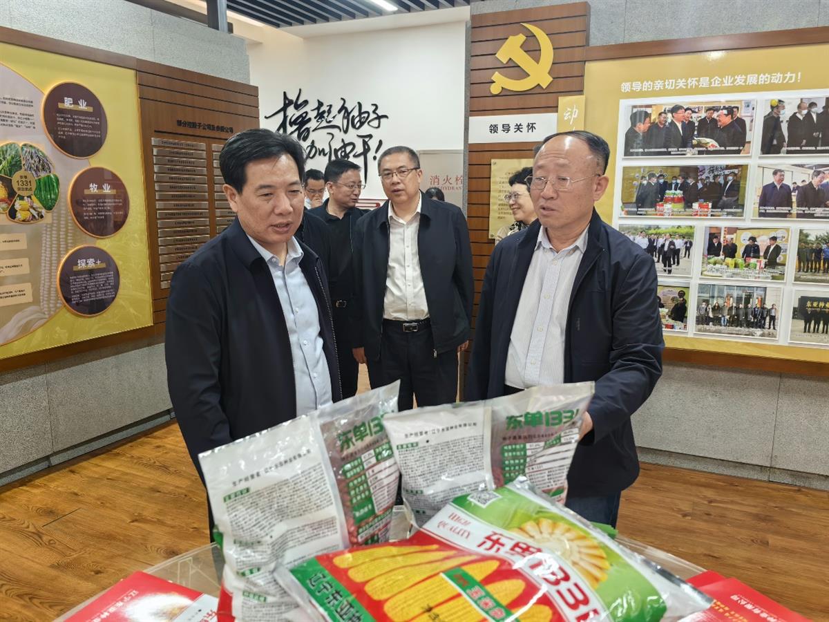 成人网站