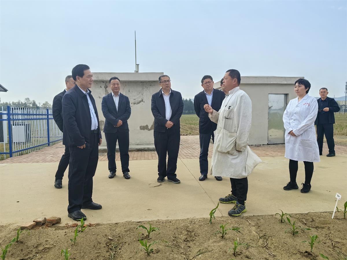 成人网站