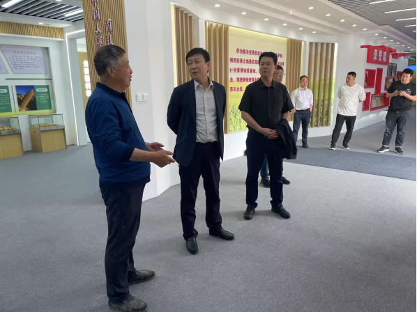 成人网站