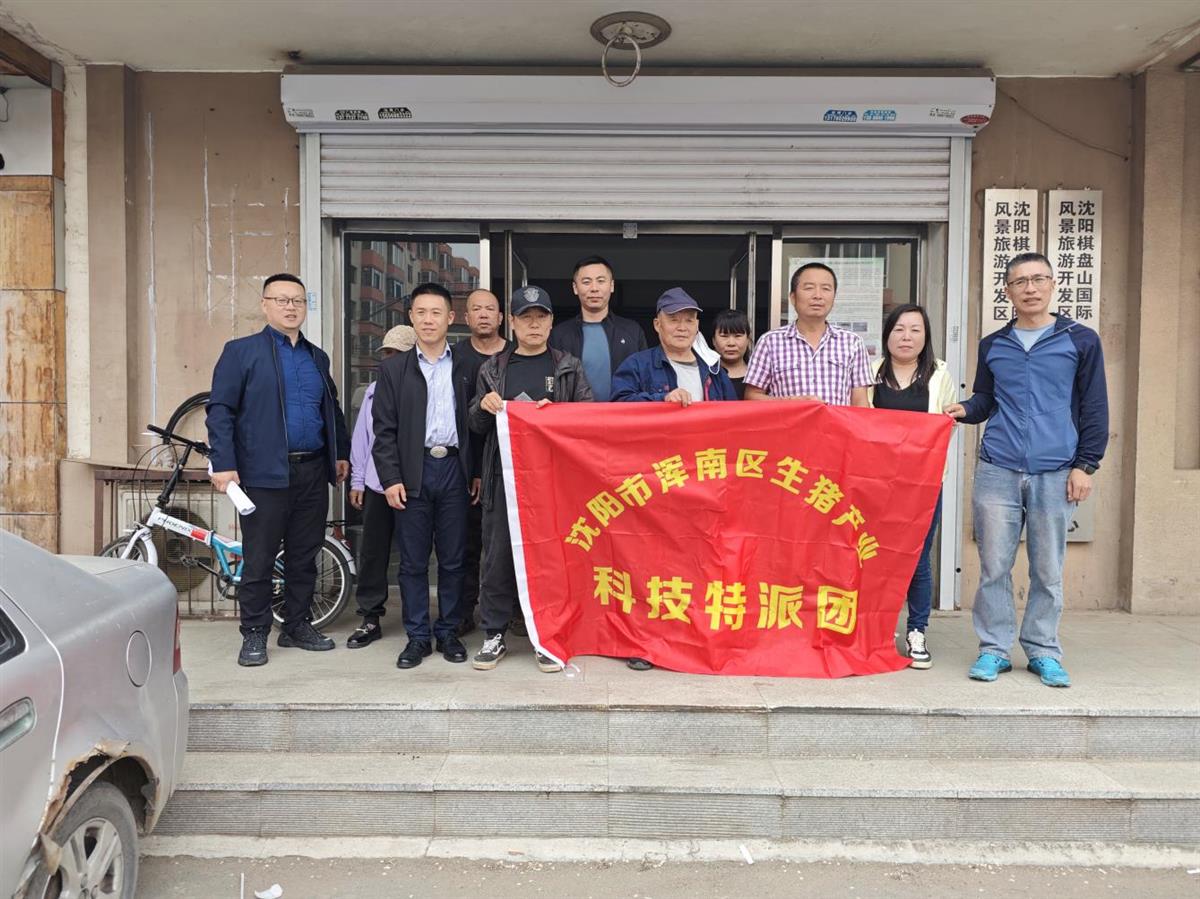 成人网站