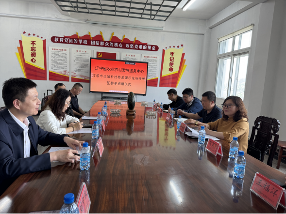 成人网站