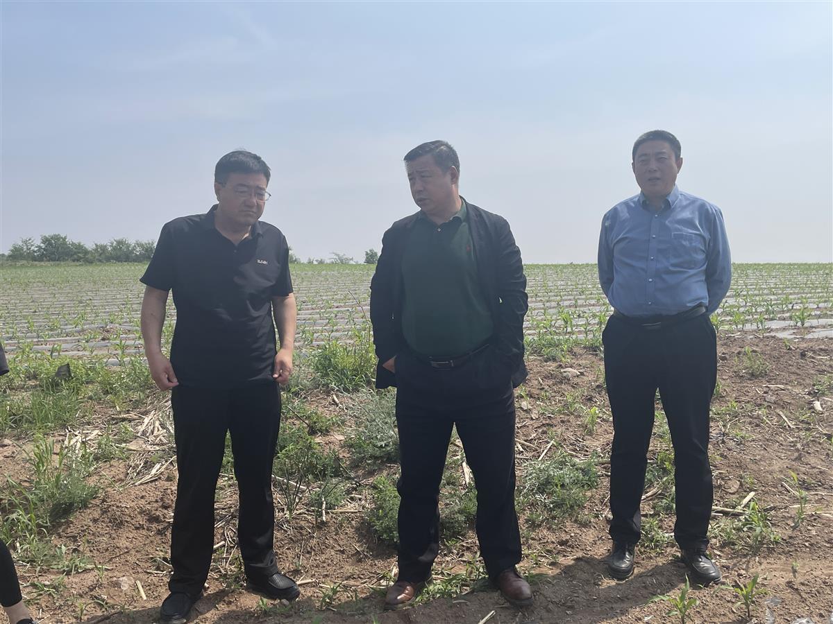 成人网站