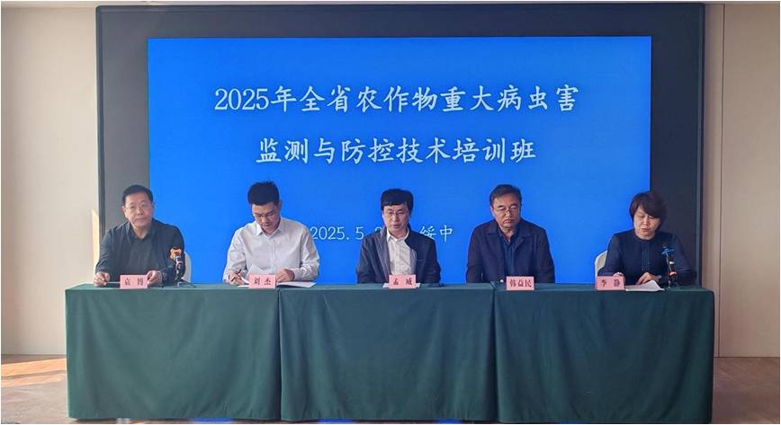 成人网站