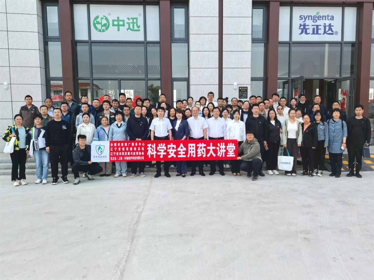成人网站