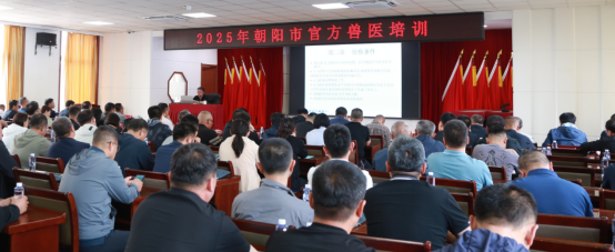 成人网站