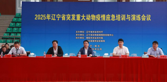 成人网站